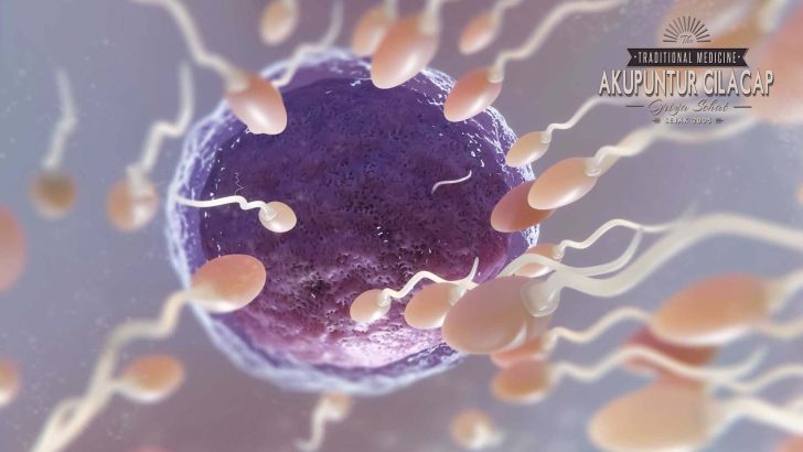 Akupunktur untuk Fertilitas Pria