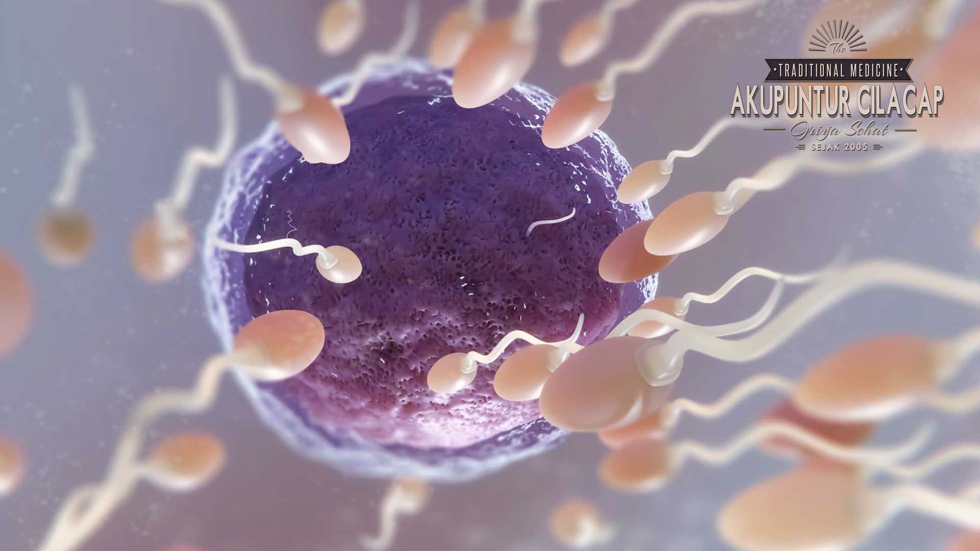Akupunktur untuk Fertilitas Pria