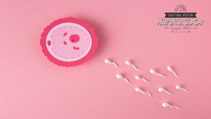 Titik Akupunktur untuk Fertilitas Wanita