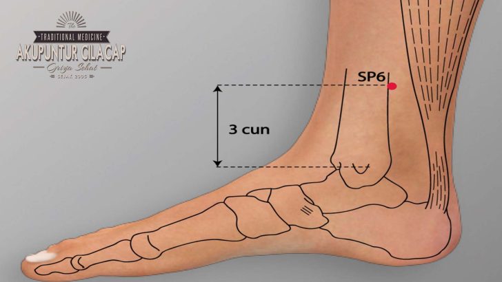 SP6 (Sanyinjiao)