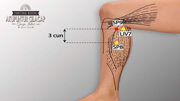 Yinlingquan (SP9)